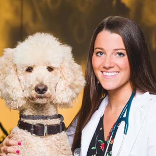 Dr. Melissa Bush, Manchester Veterinarian